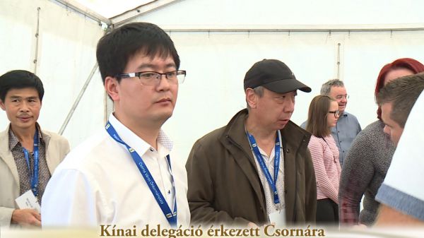 Kínai delegáció érkezett Csornára 