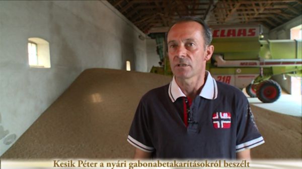 Kesik Péter a nyári gabonabetakarításokról beszélt