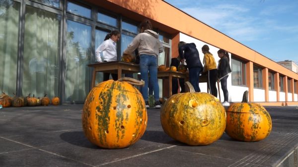 Halloween-nap a Rábaközi Művelődési Központban