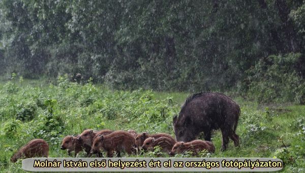 Molnár István első helyezést ért az országos fotópályázaton