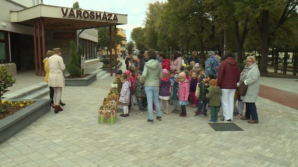 Idén is megrendezték a Ládakert elnevezésű versenyt a csornai óvodásoknak