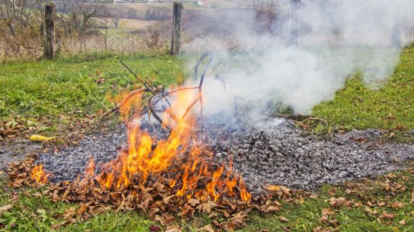 Június 1-től önkormányzati rendelet szabályozza a növényi hulladékok égetését