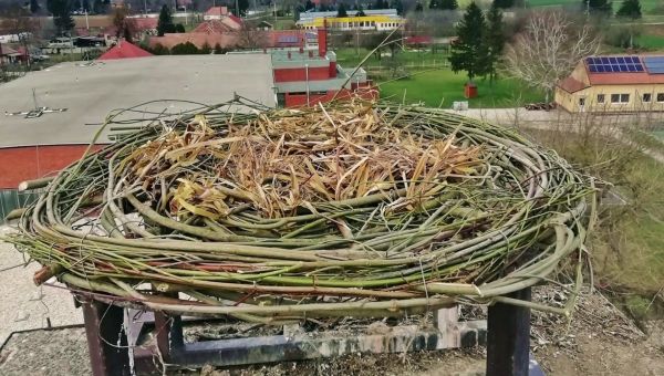 Új fészek várja a beledi gólyákat