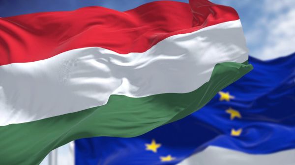 Borsodi Tamás címzetes főjegyző tájékoztatója az Európai Parlamenti és az önkormányzati választásokról
