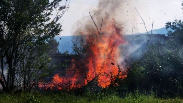 Tájékoztató a kerti zöldhulladék égetésének szabályairól