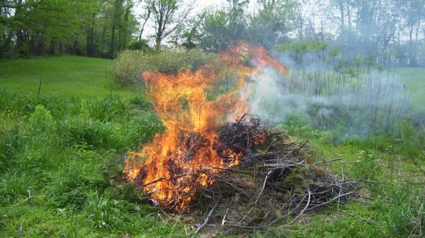 Katasztrófavédelmi tájékoztató a zöldhulladék égetésének szabályairól